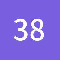 3868338