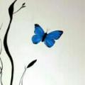 蝴蝶。♪