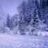 SnowXH