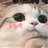藏身于早雾中-