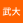 武大侠