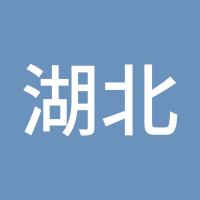湖北代理陈波