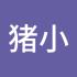 猪小猪