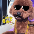 牛奶布丁F