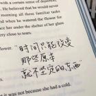 QQ蛋