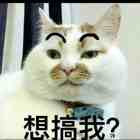 心翔175