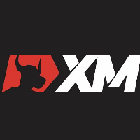 XM集团