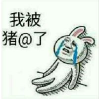 情敌巴菲特