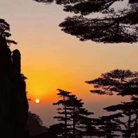 金市爱好者