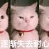 小喵