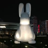 至简享受交易