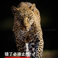 小点值大空间