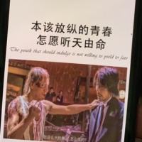 小石头168