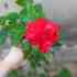tonyteo0120