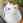 人生不如一只猫