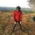 Aripin