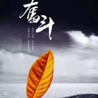 重燃,飞扬