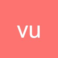 vudong