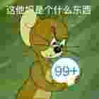 走马轻风雪