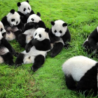 封号修罗
