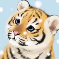 杰少js