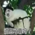 瑞 R
