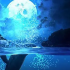 星海鲸落