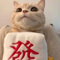 A 守望者