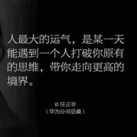 狮子金融业务小能手