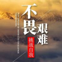 投机趋势