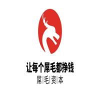 迪奥资本
