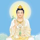 神仙护体