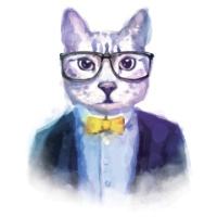 黑猫ºლ