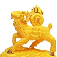 两万美金翻仓日更