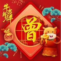 小曾--财富