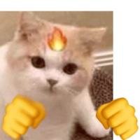 三金小哥