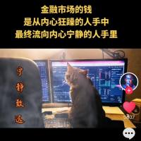 走在回本路上的人