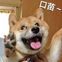 退钱~