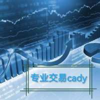 cady聊机构