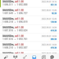 GOLD FX Trade