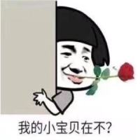 女宝宝