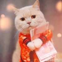 稳准不赔