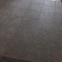g快乐每一天