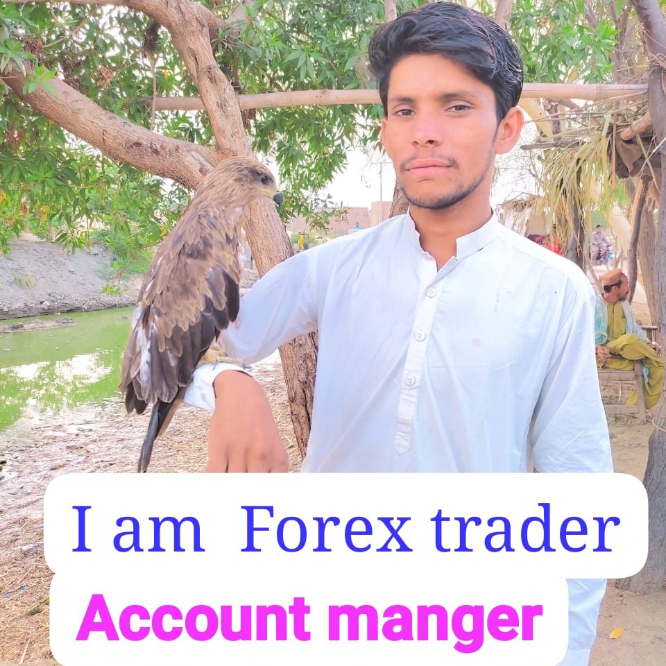 Forex gold trading
