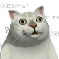 丢人摸鱼猛男