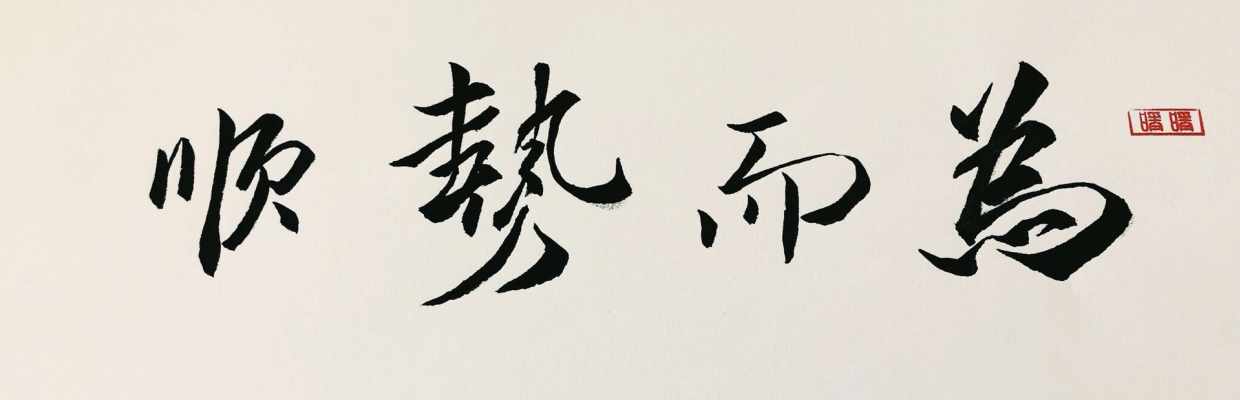 三毛点金2019