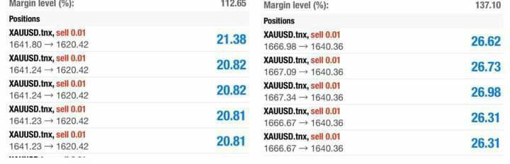 FOREX LUCKY TRADER