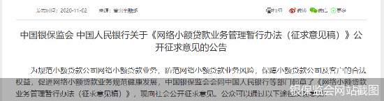 小贷 网络 小额贷款 业务 经营 公司