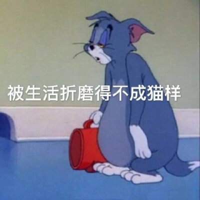 菜场 团购 社区 生鲜 做菜 菜市场