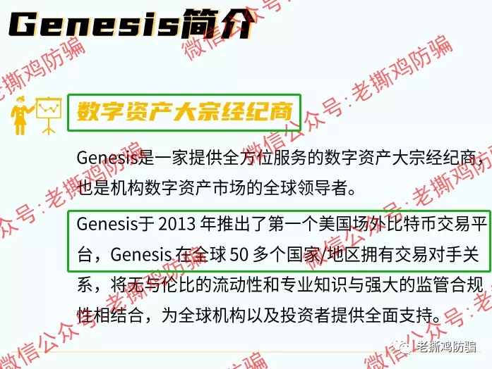Genesis Option固定收益期权：冒名套牌Genesis的资金盘而已！！